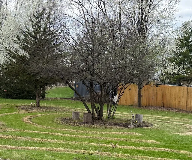 A tree in bloom at the center of the garden walking circuits